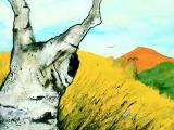 olio su tela, 70x70, 2004 - 400€