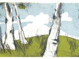 dopo la piogga (acquatinta, linoleografia) 42 x 30; 2004; 120€
