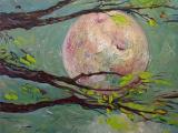 Eine kleine nachtmusik (acrlyic/olio su tela) 50 x 70cm; 2022; 500€